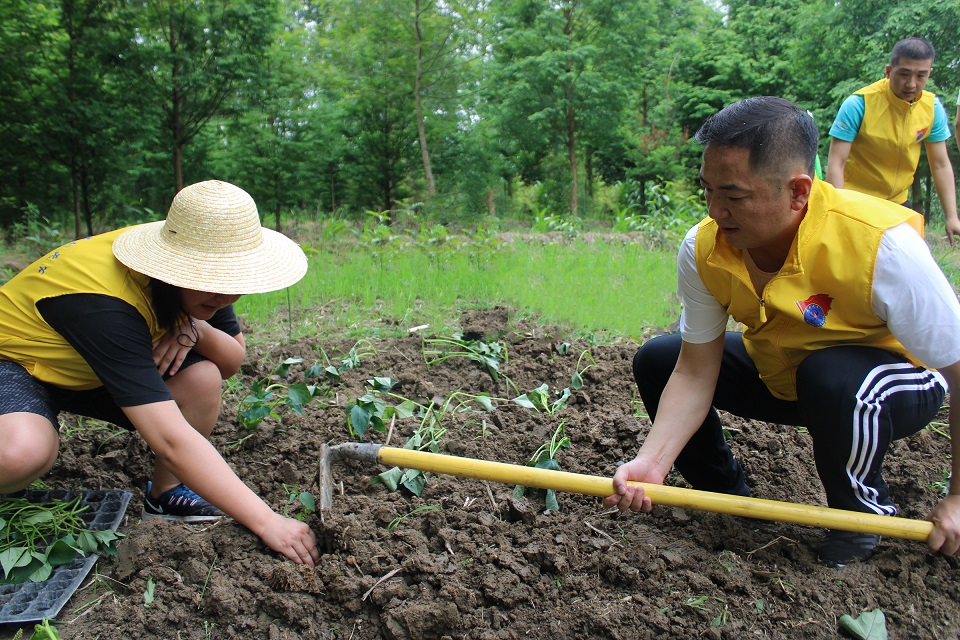 6月4日，崇州市街子镇会元村，售电党支部书记总经理杜刚，帮助留守老人除草种地插秧苗.jpg